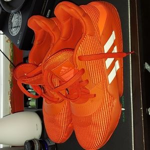 Adidas Pro Bounce Low 2019